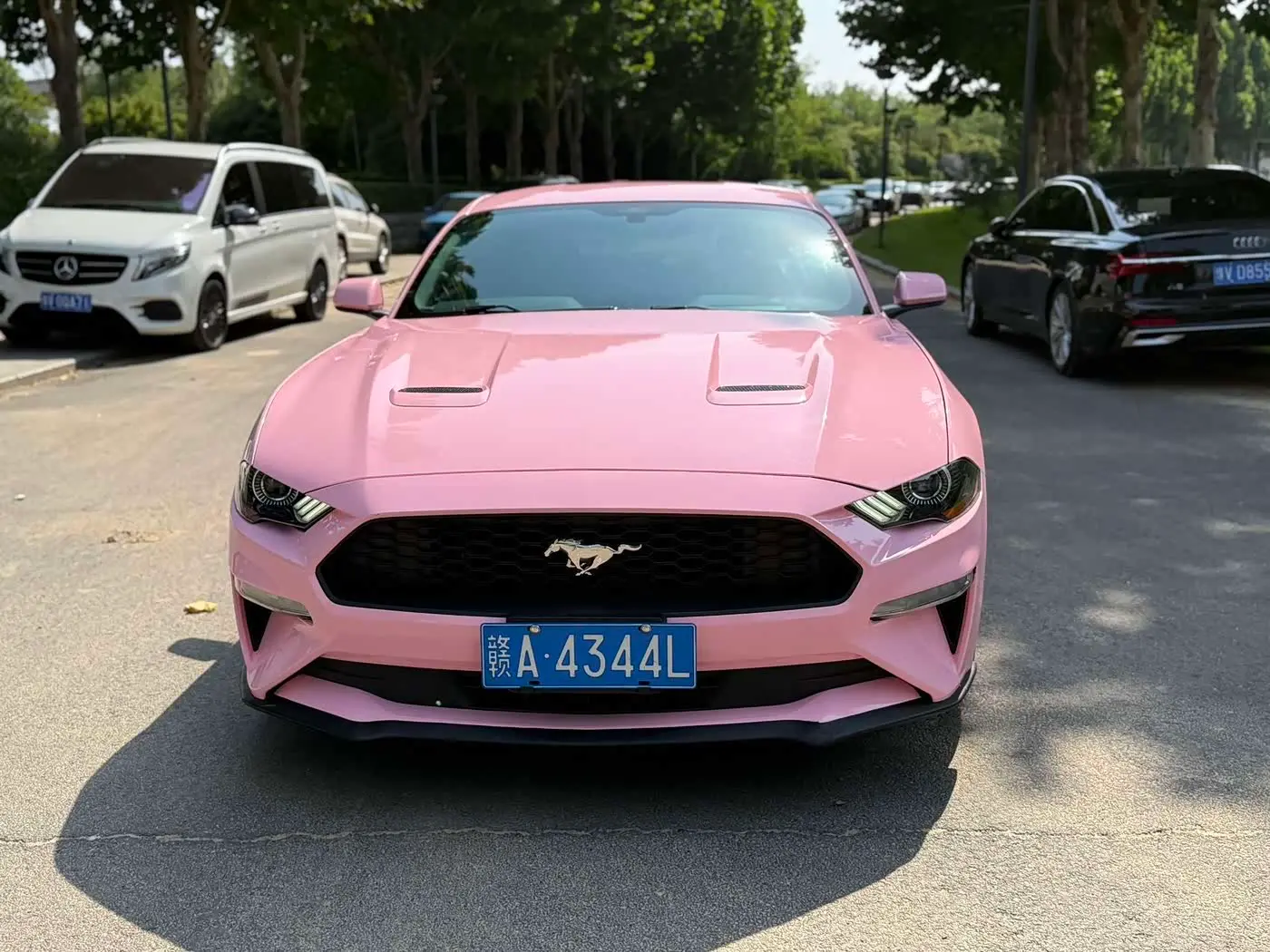 Ford Mustang 2019 — Photo 2/9