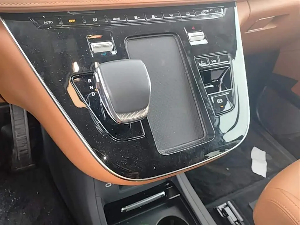 Hongqi HQ9 PHEV 2024 — Photo 14/20