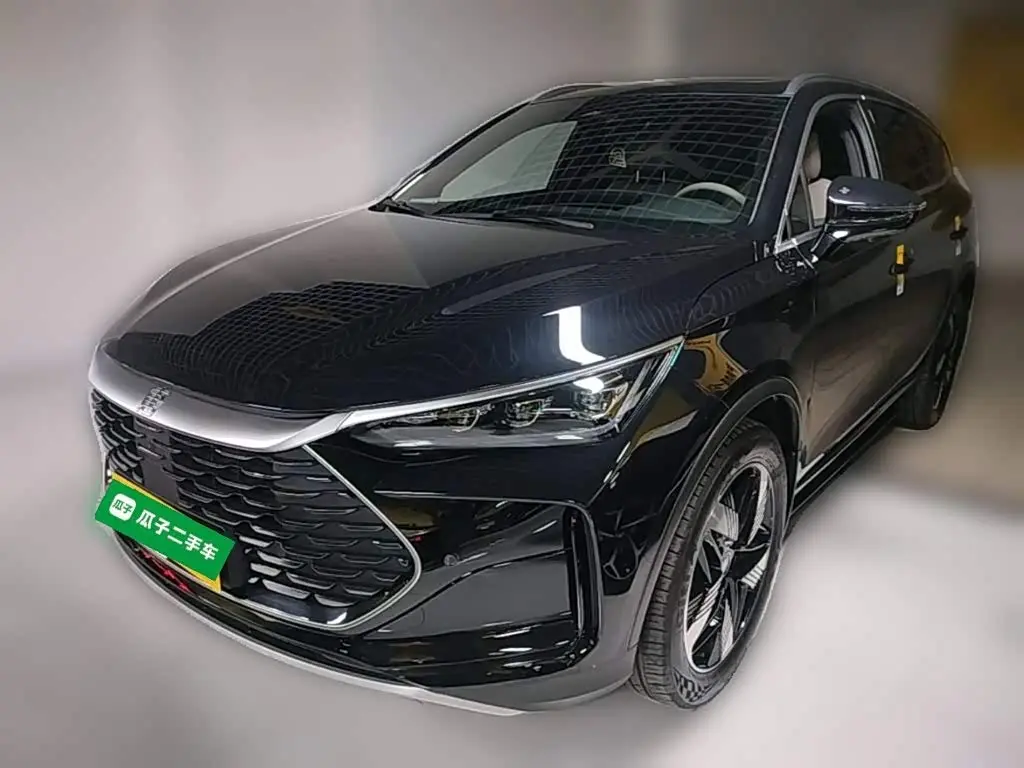 BYD Tang New Energy 2024 — Фото 3/20
