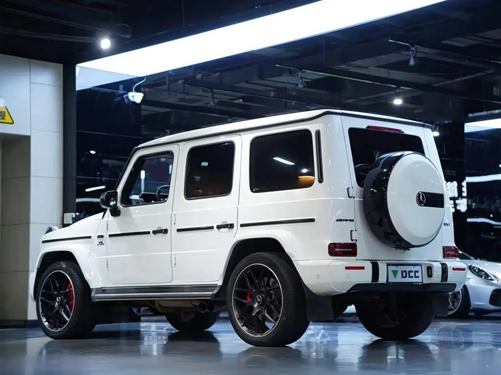 Mercedes-Benz G-Class 2021 — Photo 6/20