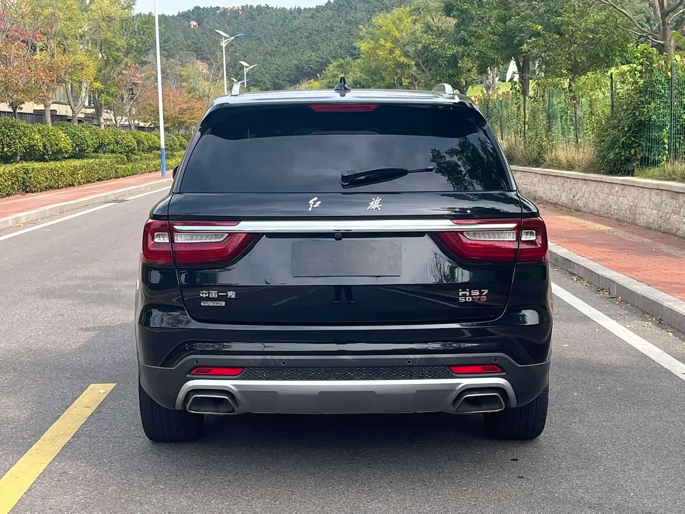 Hongqi HS7 2020 — Photo 8/10