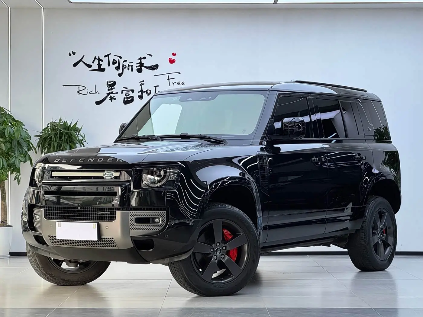 Land Rover Defender 2023 — Фото 1/20