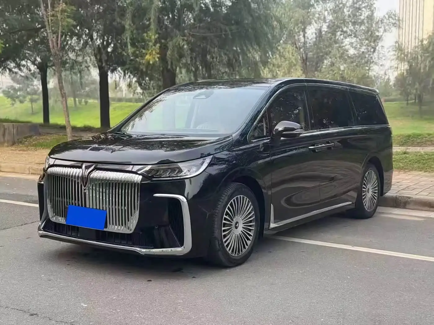 Voyah Auto Voyah Dreamer, 2024