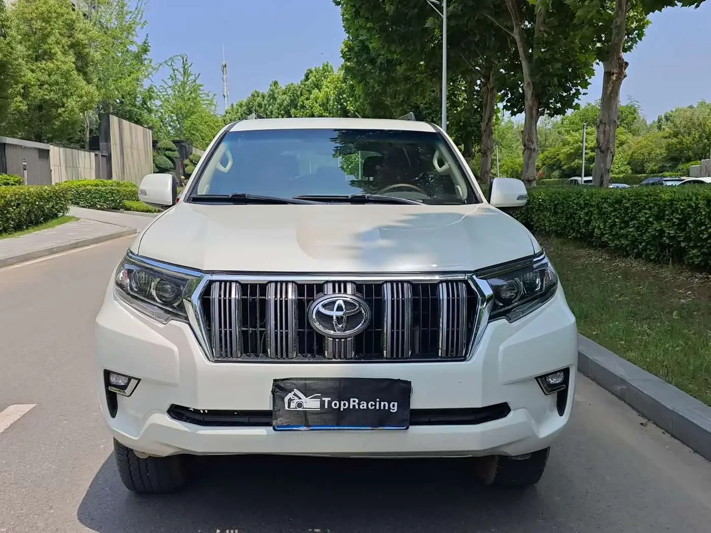 Toyota Prado 2010 — Photo 2/9