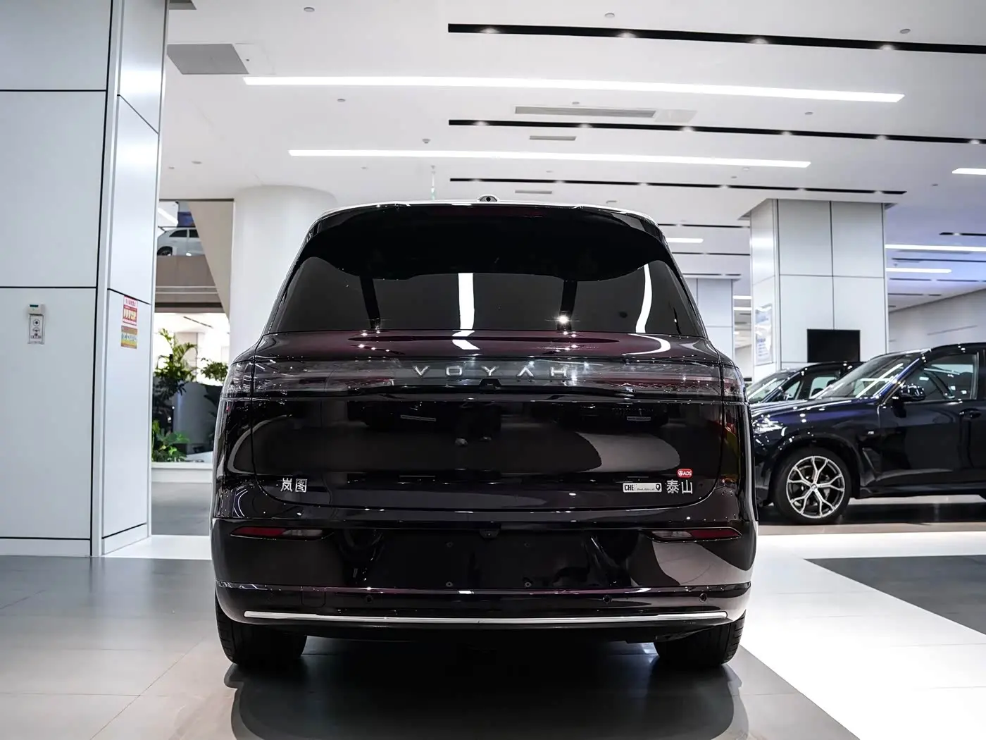 Voyah Auto VOYAH Taisan 2025 — Photo 10/20